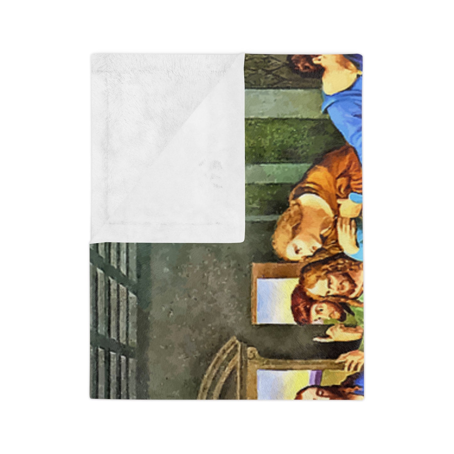 Velveteen Microfiber Blanket lasr